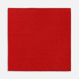 Лейбл тканевый Epsilon, L, красный