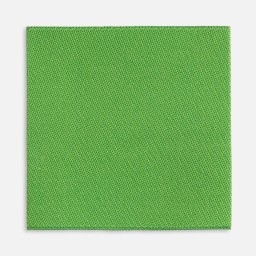 Лейбл тканевый Epsilon, L, зеленый (оливковый)