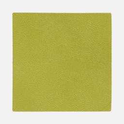 Лейбл Listra Latte, L, светло-зеленый