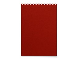 Бизнес - блокнот А4 (198 х 285 мм) "Office" 60 л., красный